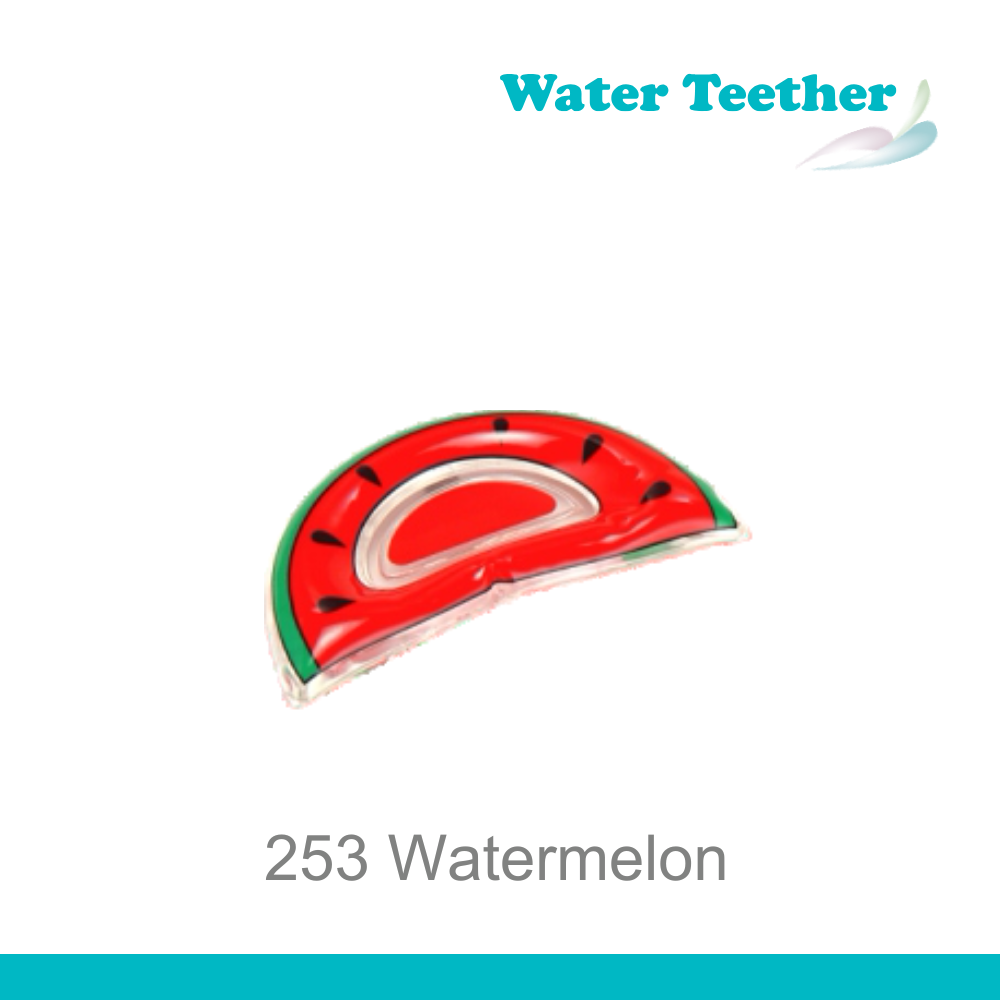 Water Melon Water teether