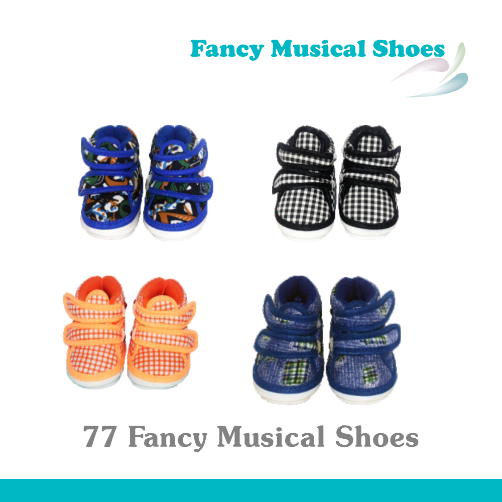 Fancy Musical Shoe